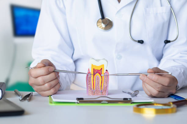 Best Emergency Dental Care for Broken or Chipped Teeth in Palm Shores, FL